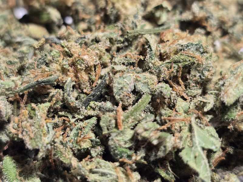 HCT Trim