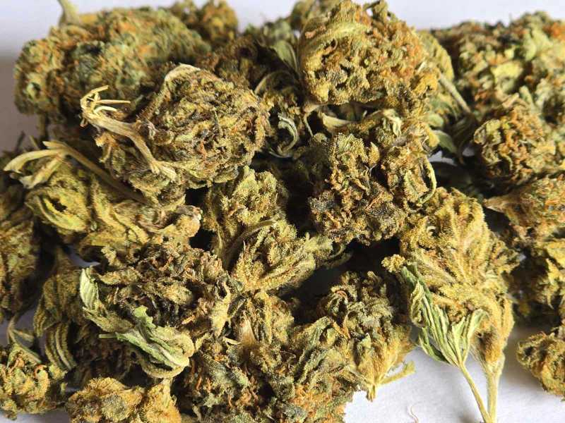 Tangarine 20% CBD flower 1g – Obrázok 2