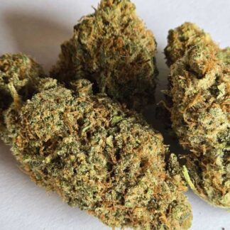 Mimosa CBD 1g
