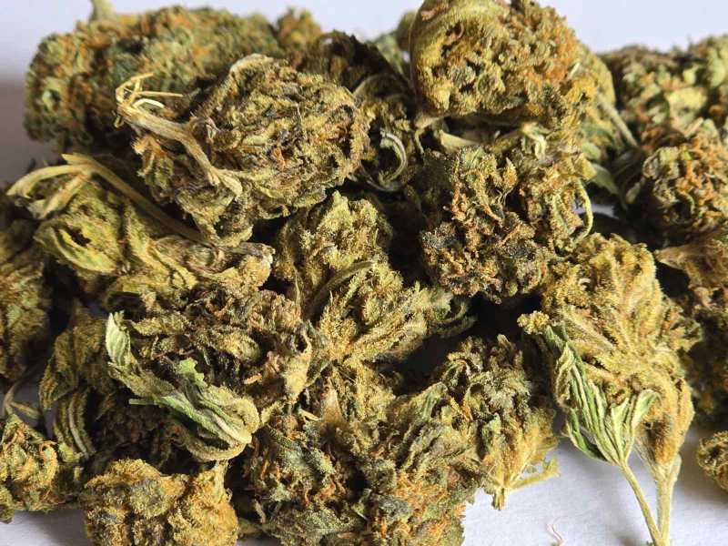 Tangarine 20% CBD flower 1g