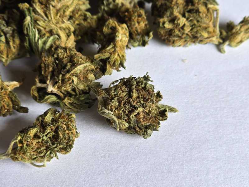 Tangarine 20% CBD flower 1g – Obrázok 3