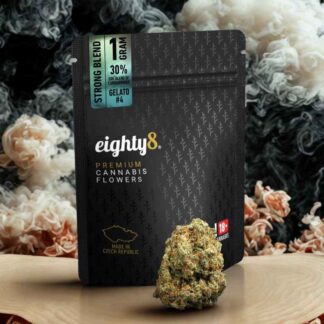 E8High